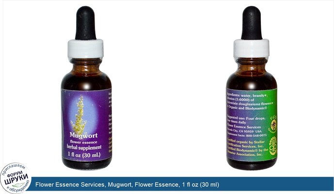 Flower Essence Services, Mugwort, Flower Essence, 1 fl oz (30 ml)