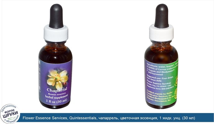 Flower Essence Services, Quintessentials, чапаррель, цветочная эссенция, 1 жидк. унц. (30 мл)