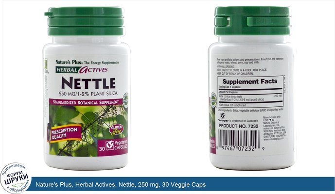 Nature\'s Plus, Herbal Actives, Nettle, 250 mg, 30 Veggie Caps