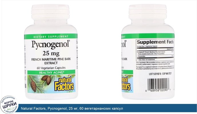 Natural Factors, Pycnogenol, 25 мг, 60 вегетарианских капсул