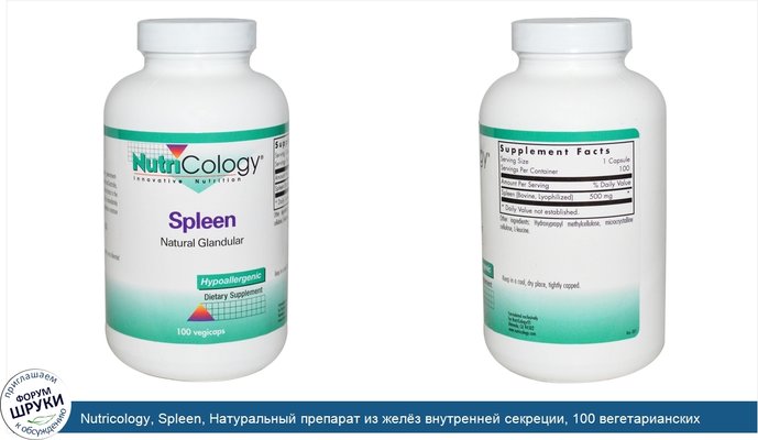 Nutricology, Spleen, Натуральный препарат из желёз внутренней секреции, 100 вегетарианских капсул
