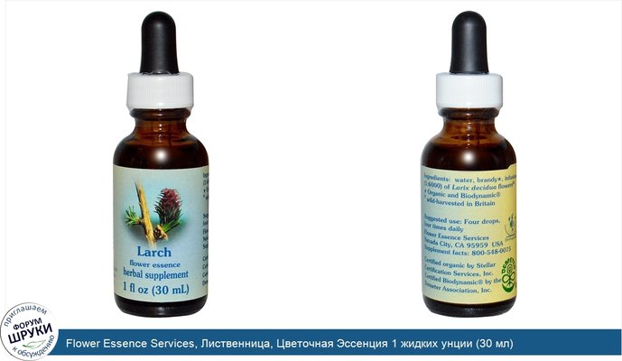 Flower Essence Services, Лиственница, Цветочная Эссенция 1 жидких унции (30 мл)