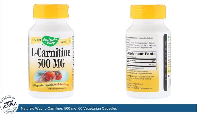 Nature\'s Way, L-Carnitine, 500 mg, 60 Vegetarian Capsules