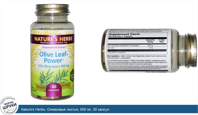 Nature\'s Herbs, Оливковые листья, 500 мг, 30 капсул