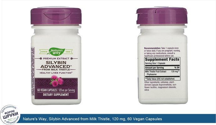 Nature\'s Way, Silybin Advanced from Milk Thistle, 120 mg, 60 Vegan Capsules