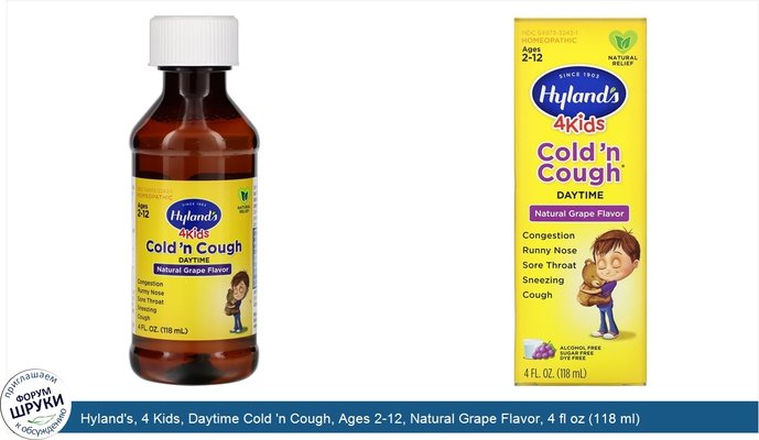 Hyland\'s, 4 Kids, Daytime Cold \'n Cough, Ages 2-12, Natural Grape Flavor, 4 fl oz (118 ml)