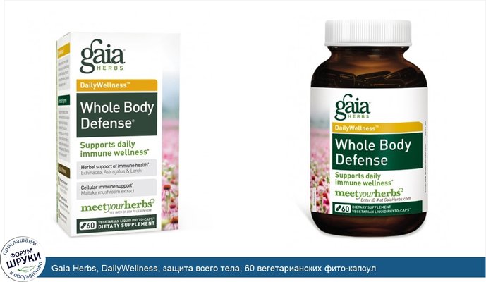 Gaia Herbs, DailyWellness, защита всего тела, 60 вегетарианских фито-капсул