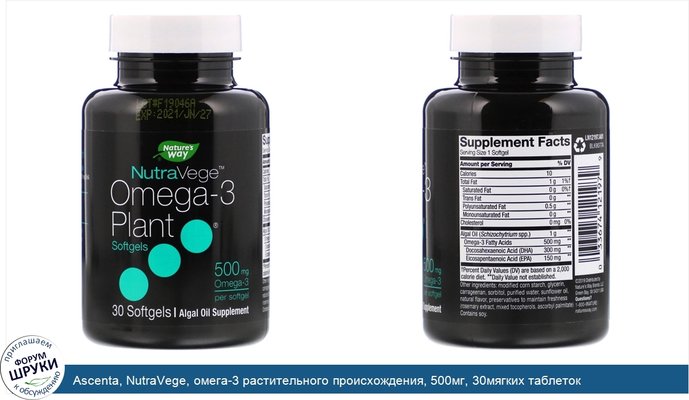 Ascenta, NutraVege, омега-3 растительного происхождения, 500мг, 30мягких таблеток