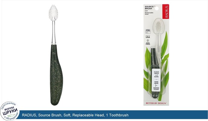 RADIUS, Source Brush, Soft, Replaceable Head, 1 Toothbrush