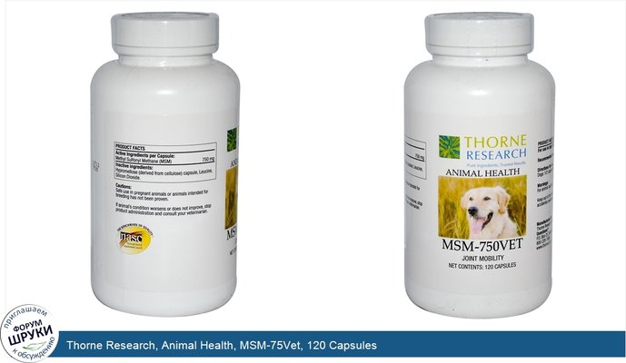Thorne Research, Animal Health, MSM-75Vet, 120 Capsules