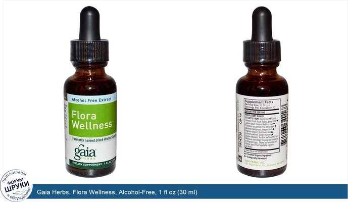 Gaia Herbs, Flora Wellness, Alcohol-Free, 1 fl oz (30 ml)