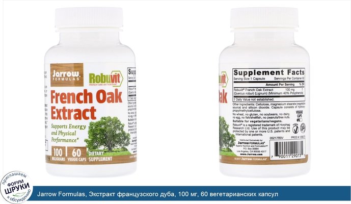 Jarrow Formulas, Экстракт французского дуба, 100 мг, 60 вегетарианских капсул