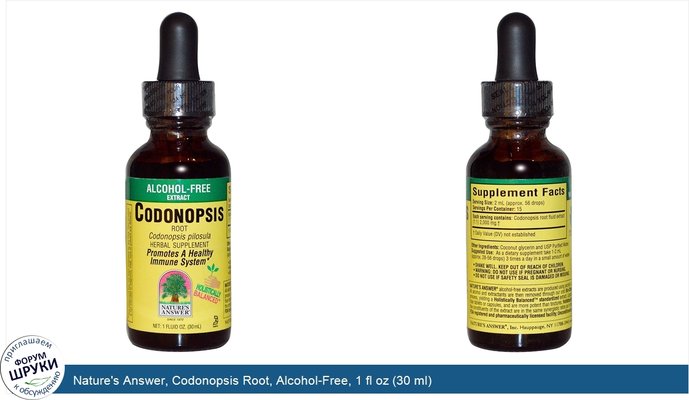 Nature\'s Answer, Codonopsis Root, Alcohol-Free, 1 fl oz (30 ml)