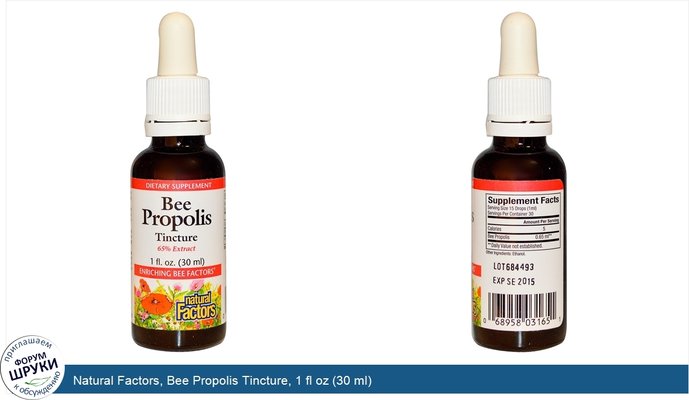 Natural Factors, Bee Propolis Tincture, 1 fl oz (30 ml)