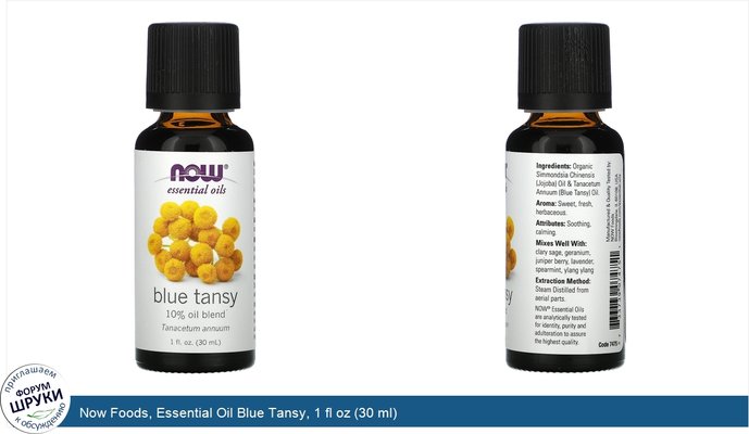 Now Foods, Essential Oil Blue Tansy, 1 fl oz (30 ml)