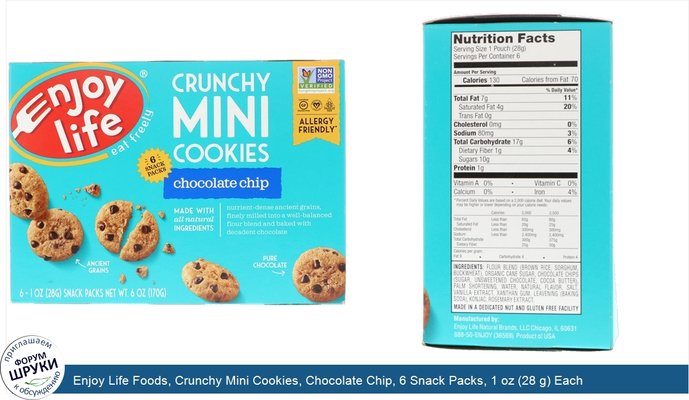 Enjoy Life Foods, Crunchy Mini Cookies, Chocolate Chip, 6 Snack Packs, 1 oz (28 g) Each