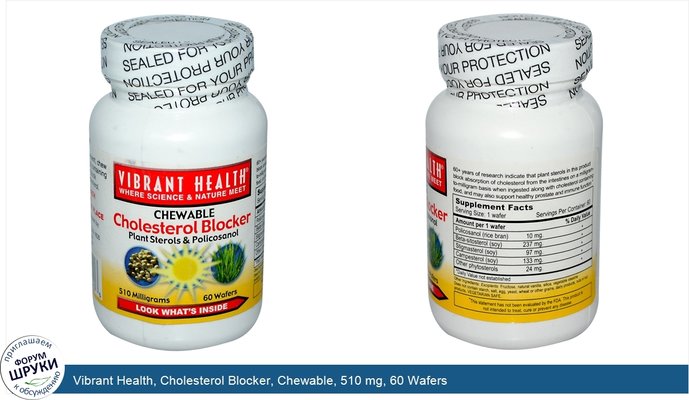 Vibrant Health, Cholesterol Blocker, Chewable, 510 mg, 60 Wafers