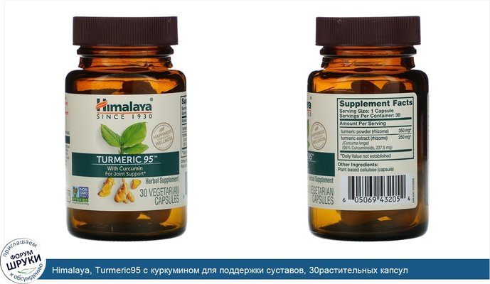 Himalaya, Turmeric95 с куркумином для поддержки суставов, 30растительных капсул