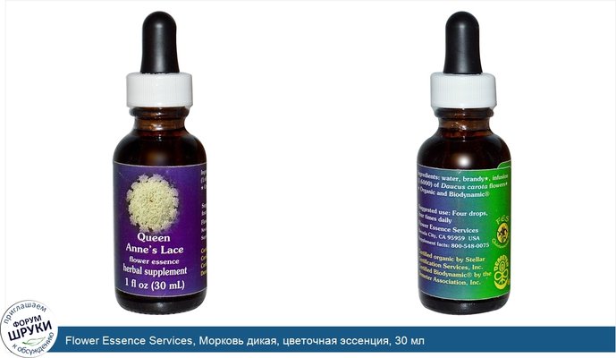 Flower Essence Services, Морковь дикая, цветочная эссенция, 30 мл