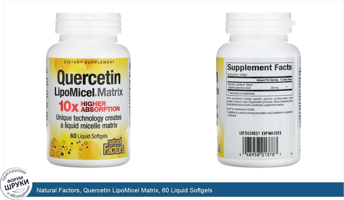 Natural Factors, Quercetin LipoMicel Matrix, 60 Liquid Softgels