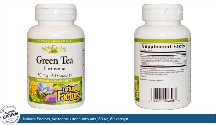 Natural Factors, Фитосомы зеленого чая, 50 мг, 60 капсул