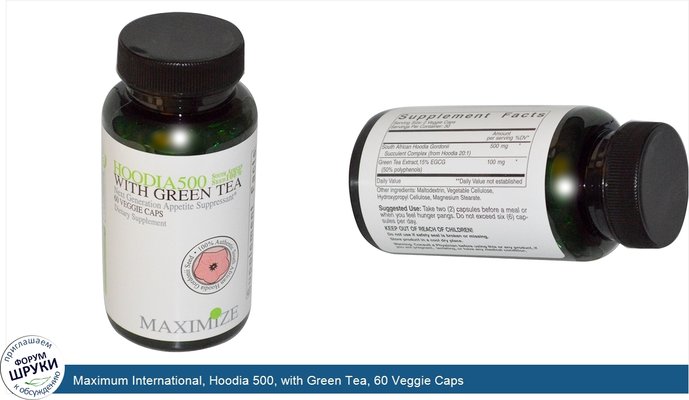 Maximum International, Hoodia 500, with Green Tea, 60 Veggie Caps