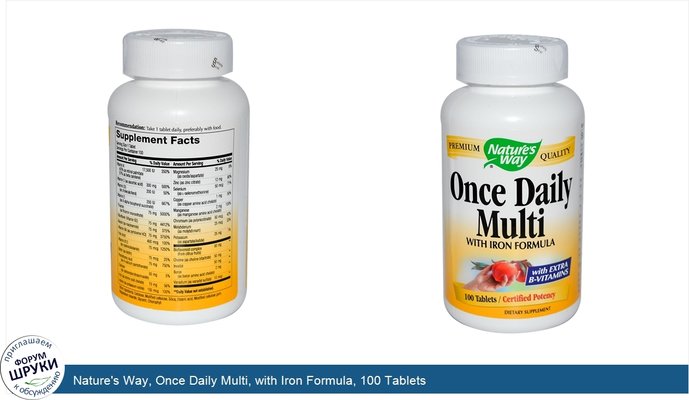 Nature\'s Way, Once Daily Multi, with Iron Formula, 100 Tablets