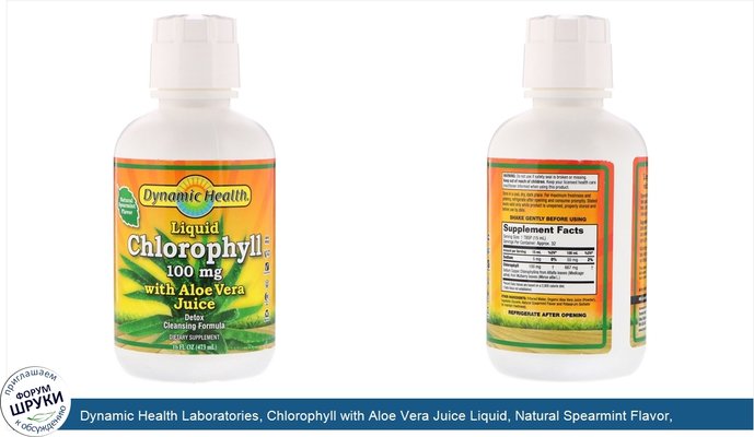 Dynamic Health Laboratories, Chlorophyll with Aloe Vera Juice Liquid, Natural Spearmint Flavor, 100 mg, 16 fl oz (473 ml)