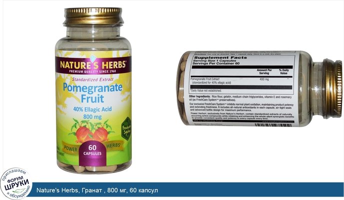 Nature\'s Herbs, Гранат , 800 мг, 60 капсул