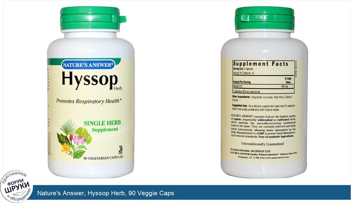 Nature\'s Answer, Hyssop Herb, 90 Veggie Caps