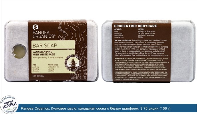 Pangea Organics, Кусковое мыло, канадская сосна с белым шалфеем, 3,75 унции (106 г)