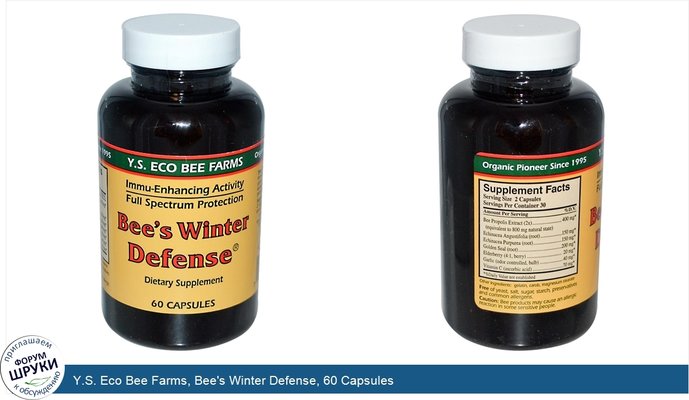 Y.S. Eco Bee Farms, Bee\'s Winter Defense, 60 Capsules