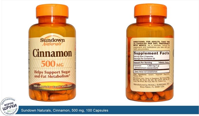 Sundown Naturals, Cinnamon, 500 mg, 100 Capsules