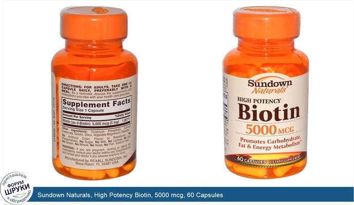 Sundown Naturals, High Potency Biotin, 5000 mcg, 60 Capsules
