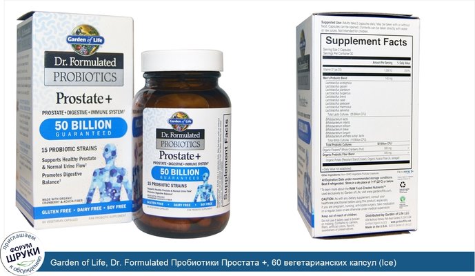 Garden of Life, Dr. Formulated Пробиотики Простата +, 60 вегетарианских капсул (Ice)