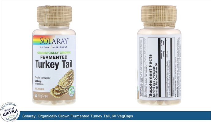 Solaray, Organically Grown Fermented Turkey Tail, 60 VegCaps