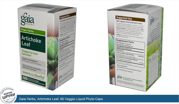 Gaia Herbs, Artichoke Leaf, 60 Veggie Liquid Phyto-Caps