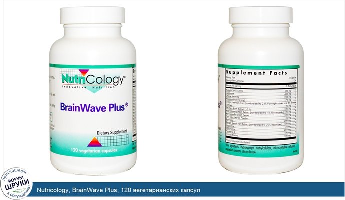 Nutricology, BrainWave Plus, 120 вегетарианских капсул