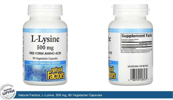 Natural Factors, L-Lysine, 500 mg, 90 Vegetarian Capsules