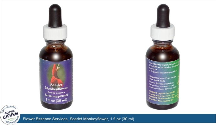 Flower Essence Services, Scarlet Monkeyflower, 1 fl oz (30 ml)