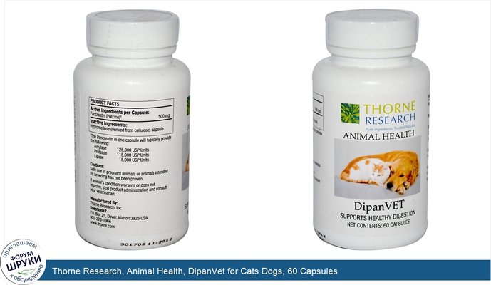 Thorne Research, Animal Health, DipanVet for Cats Dogs, 60 Capsules