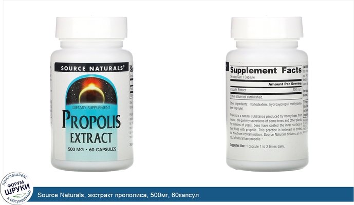 Source Naturals, экстракт прополиса, 500мг, 60капсул