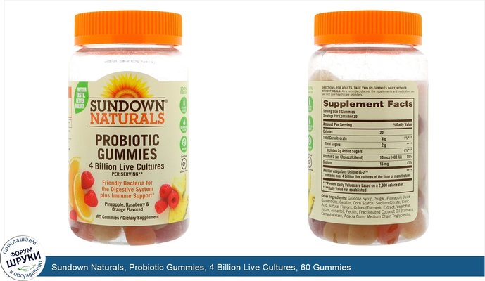 Sundown Naturals, Probiotic Gummies, 4 Billion Live Cultures, 60 Gummies