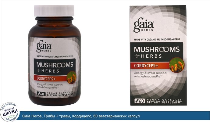 Gaia Herbs, Грибы + травы, Кордицепс, 60 вегетарианских капсул