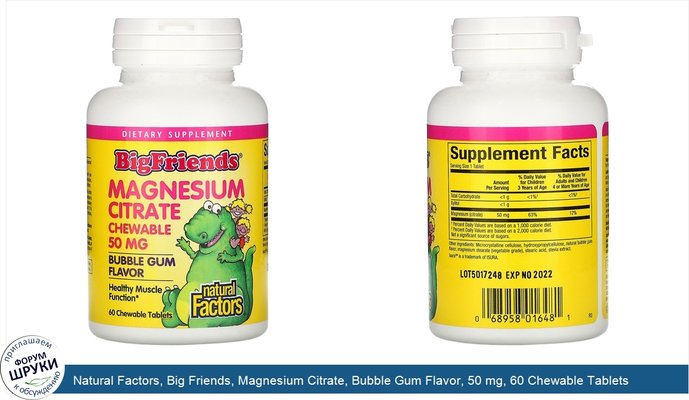 Natural Factors, Big Friends, Magnesium Citrate, Bubble Gum Flavor, 50 mg, 60 Chewable Tablets