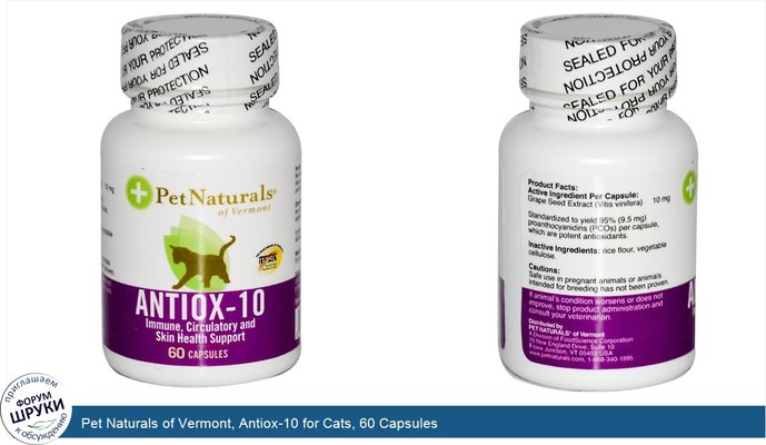 Pet Naturals of Vermont, Antiox-10 for Cats, 60 Capsules
