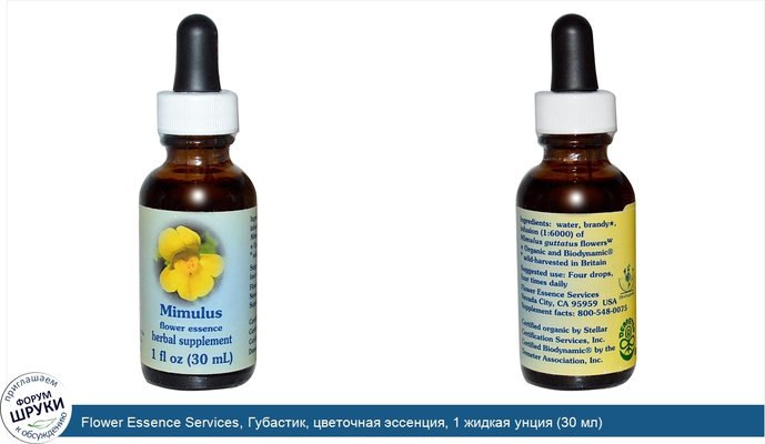 Flower Essence Services, Губастик, цветочная эссенция, 1 жидкая унция (30 мл)