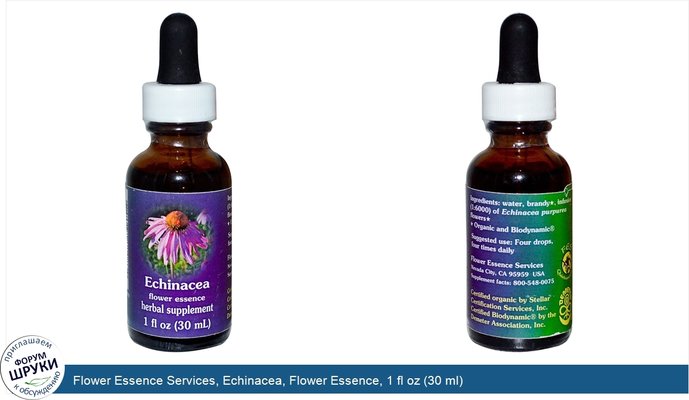 Flower Essence Services, Echinacea, Flower Essence, 1 fl oz (30 ml)
