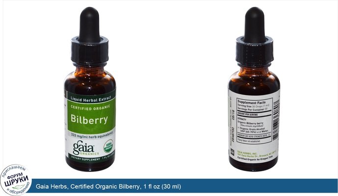 Gaia Herbs, Certified Organic Bilberry, 1 fl oz (30 ml)