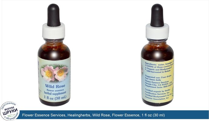 Flower Essence Services, Healingherbs, Wild Rose, Flower Essence, 1 fl oz (30 ml)
